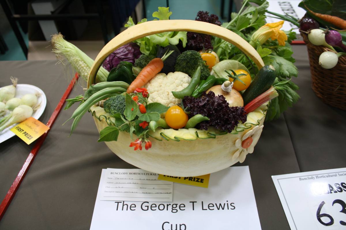 ../Images/Horticultural Show in Bunclody 2014--40.jpg